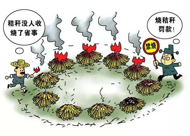 生物质颗；