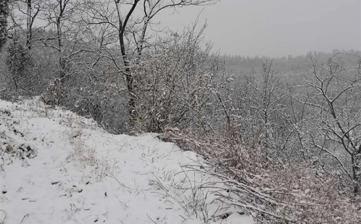 山东济南的第一场雪