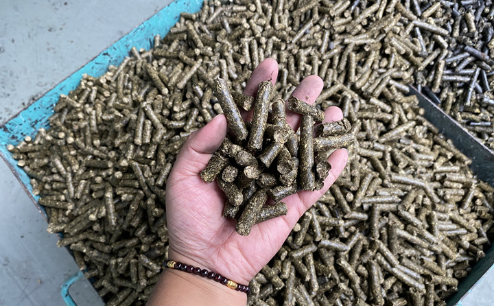 生物质颗；剂峡帕