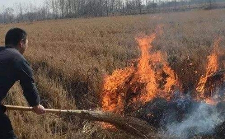 小小秸秆危害大 ，综合使用废变宝！