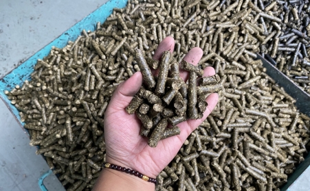 去煤减碳 生物质能源开启替换空间