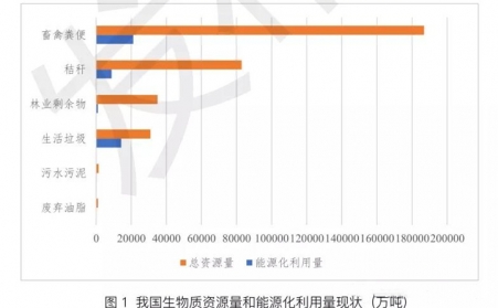 碳中和浪潮，生物质能将迎来大生长