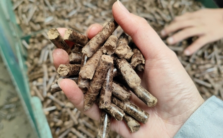 论生物质颗粒燃料的优势